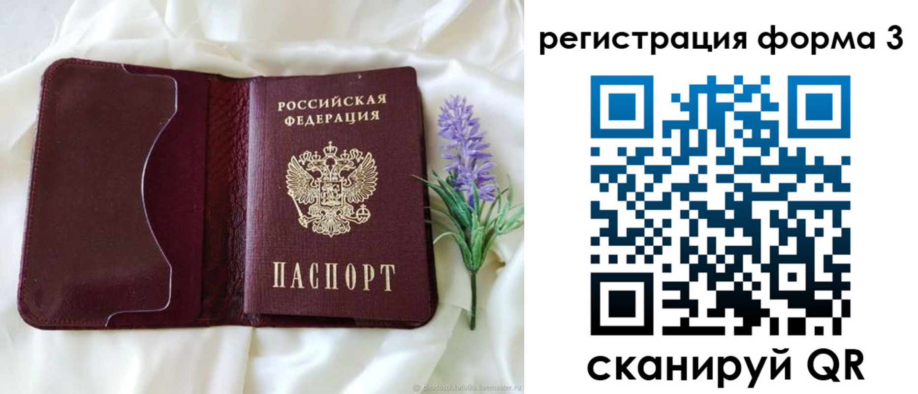 прописка 2025 в Бийске